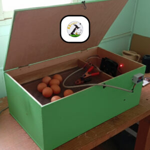 couveuse manuelle de 100 œufs